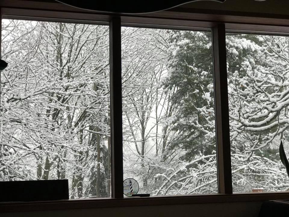 This is the view out of the windows of our bedroom this morning