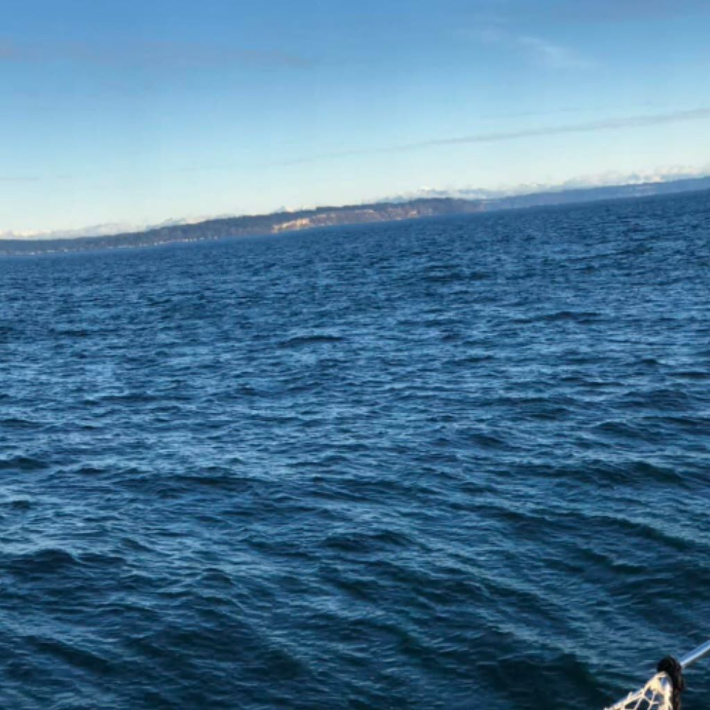 Puget Sound is just gorgeous