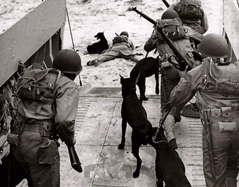 75 years ago man’s best friend was there where and when it mattered