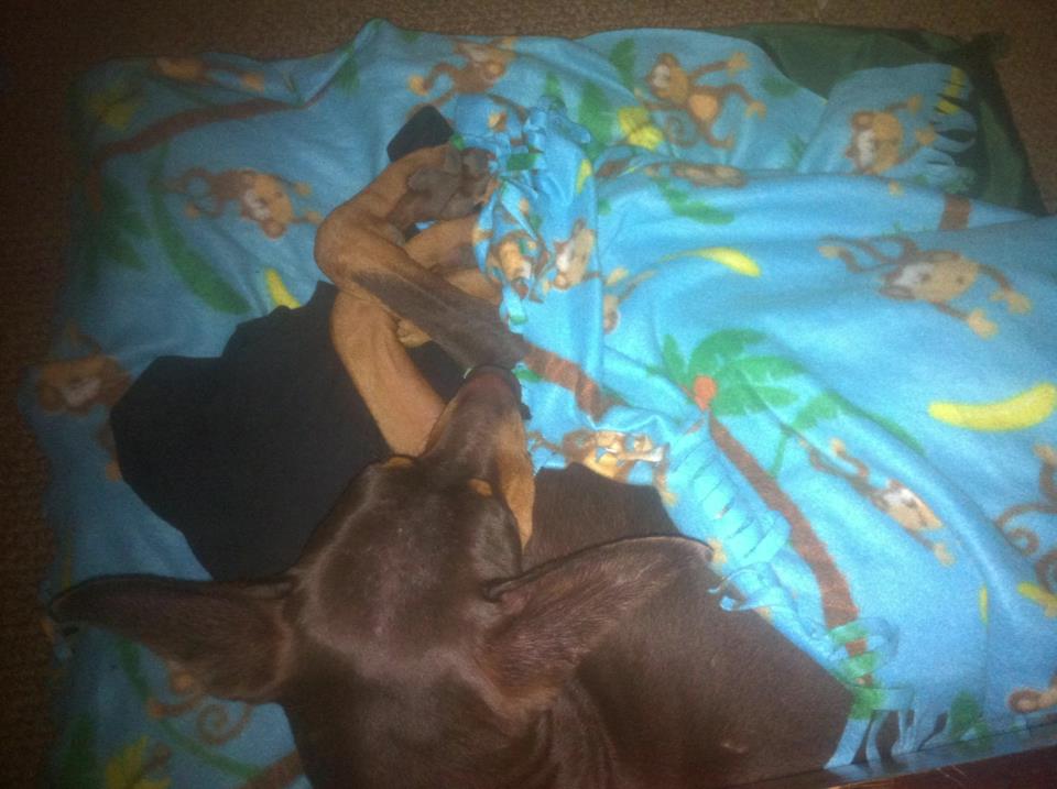 Facebook Post @ 1357807537#851