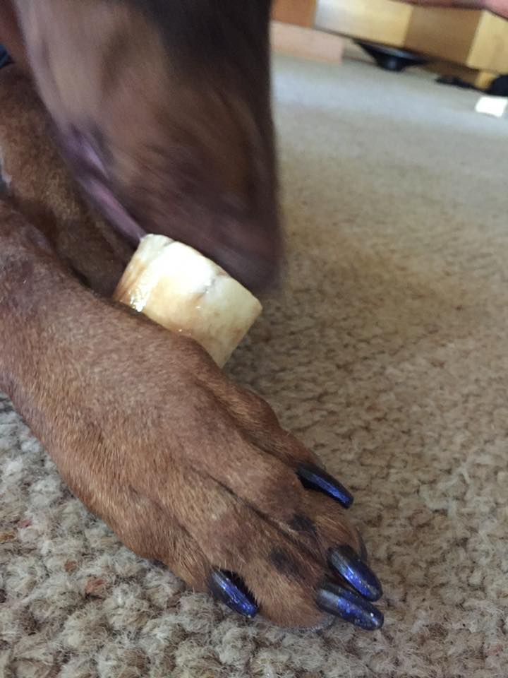 The lovely people at MyOwnly give our doggies such nice pedicures!
