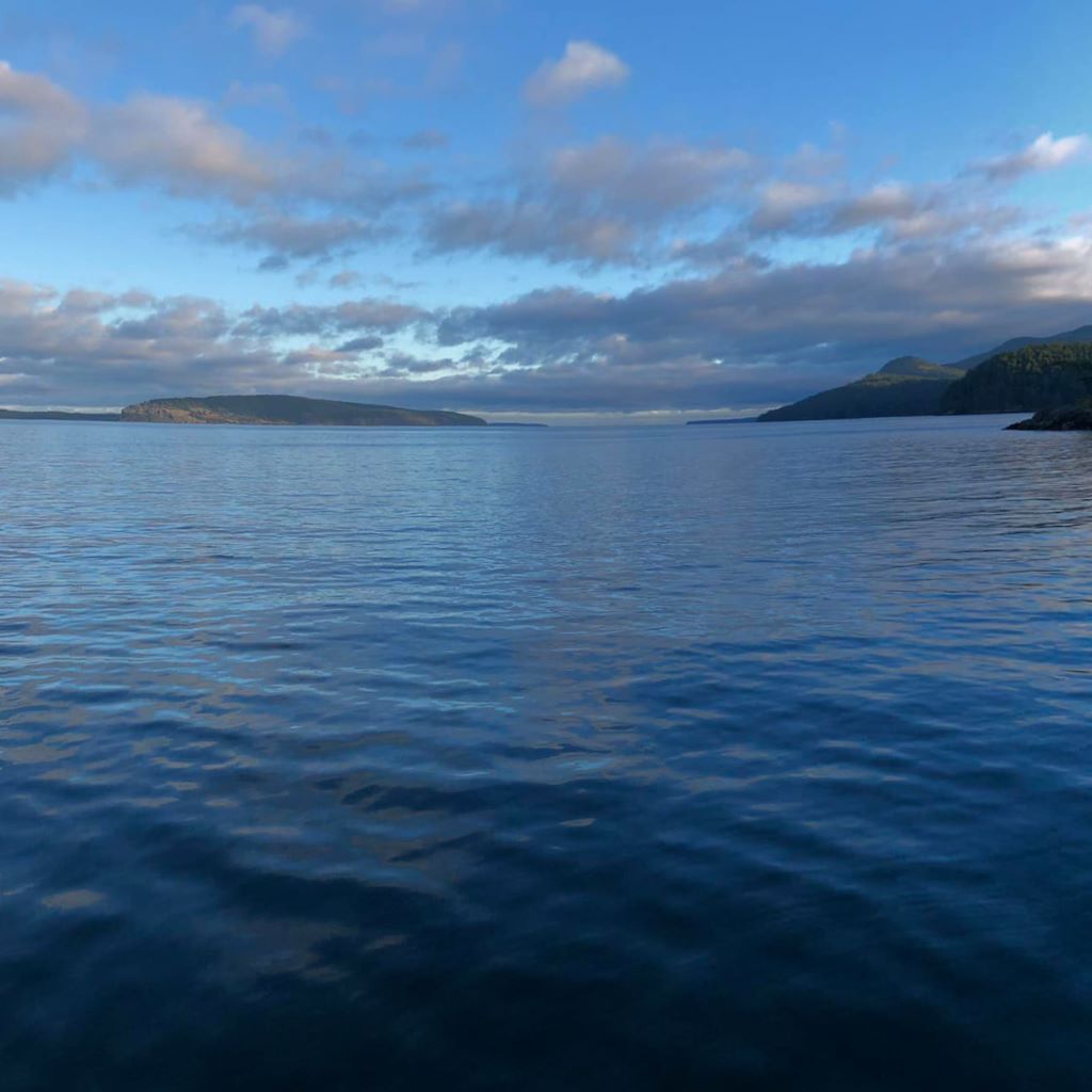 Morning on Jones Island…