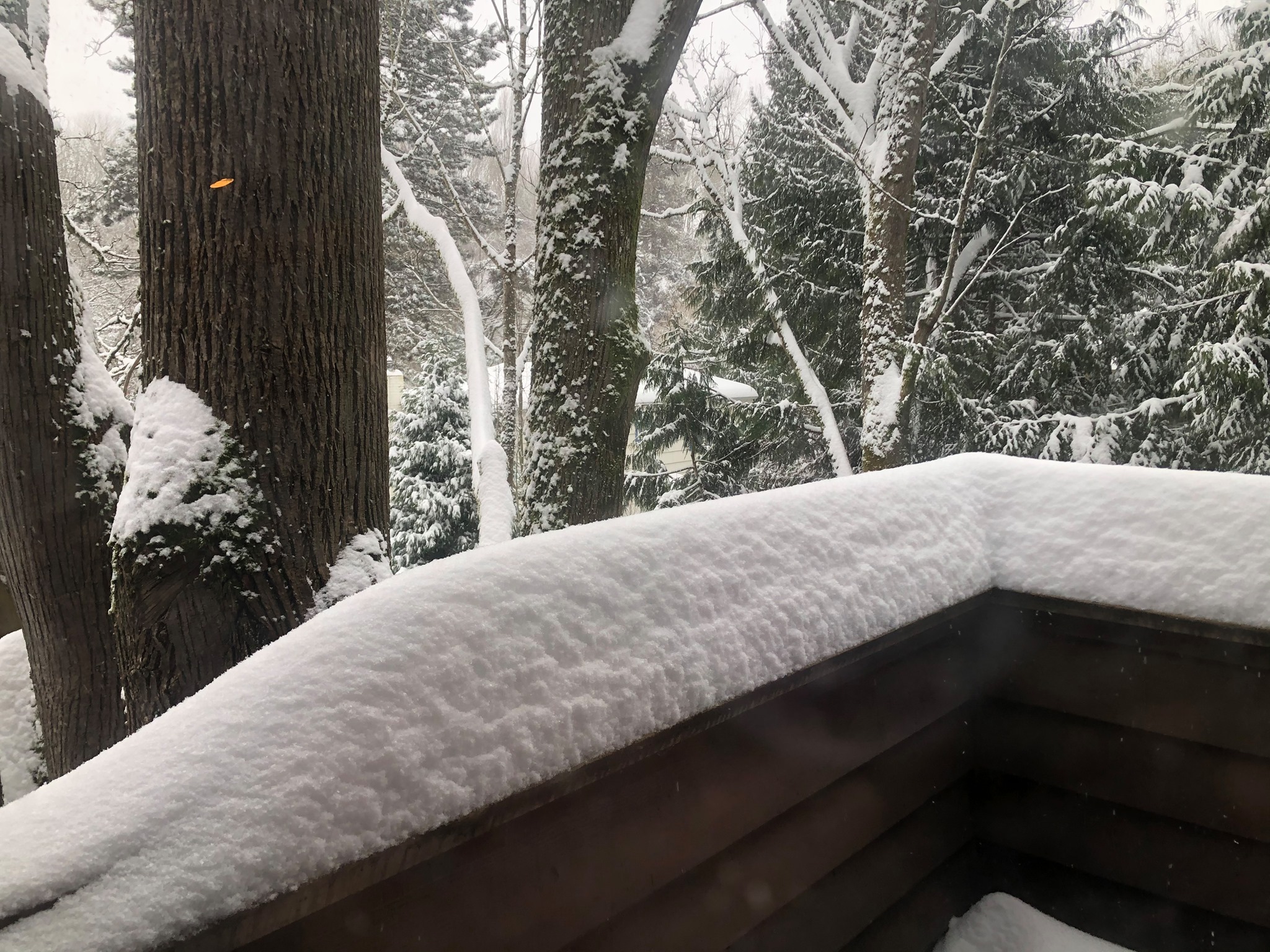 Seattle doesn’t get a lot of snow