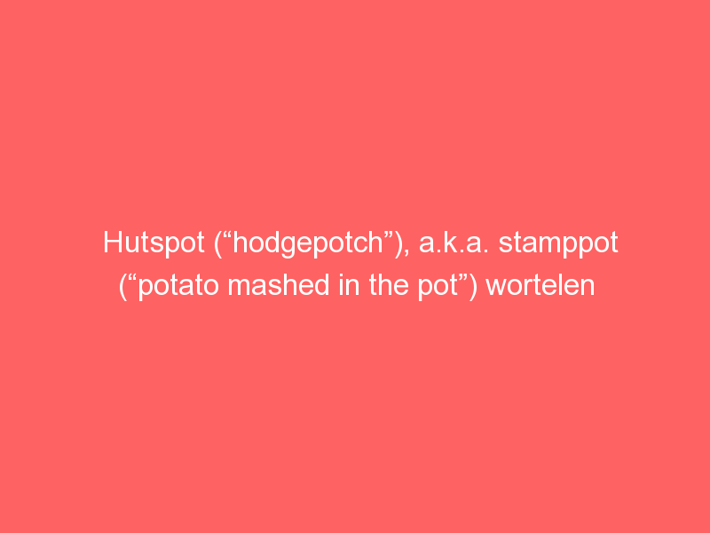 Hutspot (“hodgepotch”), a.k.a. stamppot (“potato mashed in the pot”) wortelen (“carrots”)